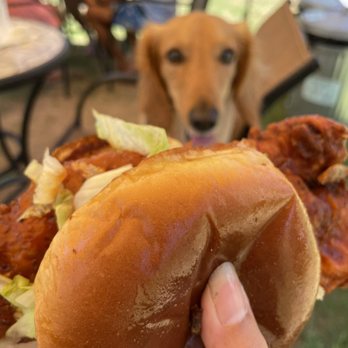 Eighty Chicken Sandwiches - Sandwiches Near Me - Kahuku, Hawaii Eighty Chicken Sandwiches - Sandwiches Near Me - Kahuku, Hawaii