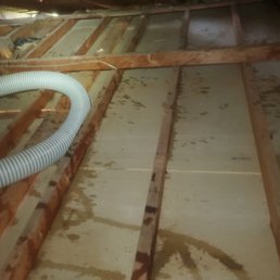 Attic vacuumed, sterilized and old insulation removed.