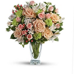 Centerview Florist - This is what I ordered for $100 (17 roses visible)