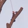 Gibsons Tree Service
