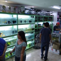 cet veggiedent small