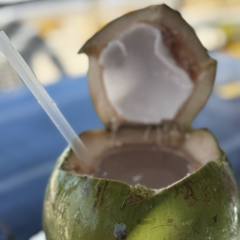 Barraca Dona Diva - Coconut pulp - Restaurants Near Me - Prainha, CE