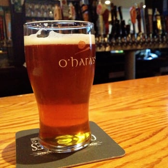 Maloney's Pub & Grill - Dogfish 120! - Pubs Near Me - Matawan, New Jersey Maloney's Pub & Grill - Dogfish 120! - Pubs Near Me - Matawan, New Jersey