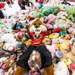 Calgary Hitmen - The Brick Teddy Bear Toss - Don't miss this world-renowned event! Bring a teddy and help make it rain as over 25,000 bears hit the ice.