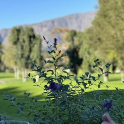 The Pauma Valley Country Club