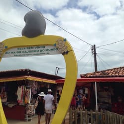 Cajueiro de Pirangi