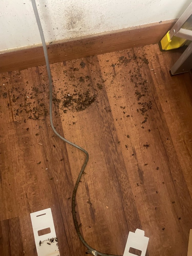 WESTLAKE VILLAGE APARTMENTS 11 Reviews San Francisco, California