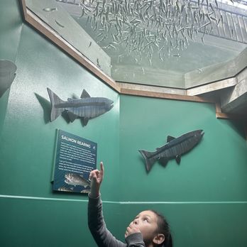 Seattle Aquarium - On the way to the under water dome - Aquariums Near Me - Seattle, Washington