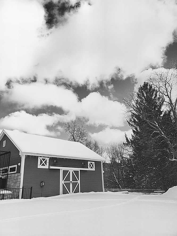 Social spots from Benson's Park