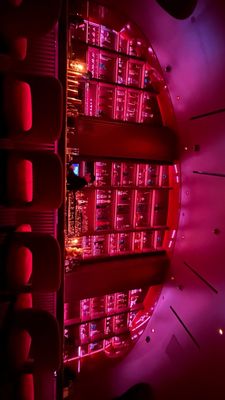 Wax Rabbit Speakeasy by null