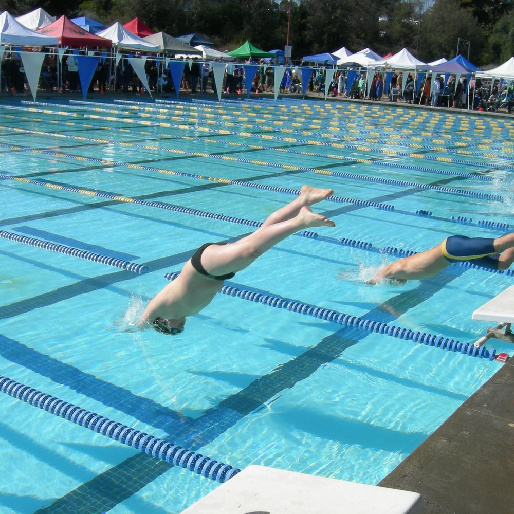 Bear Swimming - Jacob at Heather Farms. - Swimming Pools Near Me - El Sobrante, California Bear Swimming - Jacob at Heather Farms. - Swimming Pools Near Me - El Sobrante, California