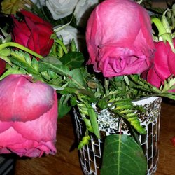 Annabelle's Flowers Gifts & More - After one week..cut twice. No food came with them. Very bad.