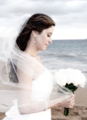 Nancy Nelson Photography - Wedding, Portrait Photographer