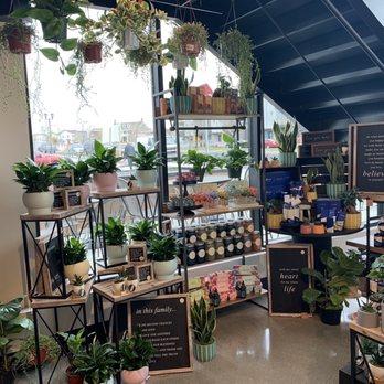 Harmon’s Grocery - Plants and local goodies - Grocery Near Me - South Jordan, Utah