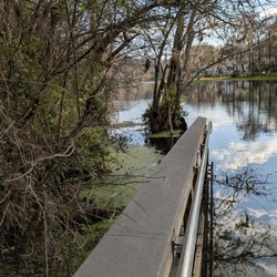 Blue Run of Dunnellon Park
