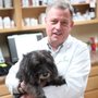 Photo of Green Tree Animal Hospital