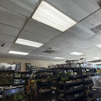 Reptile Island - Pet Stores Near Me - Stanton, California Reptile Island - Pet Stores Near Me - Stanton, California