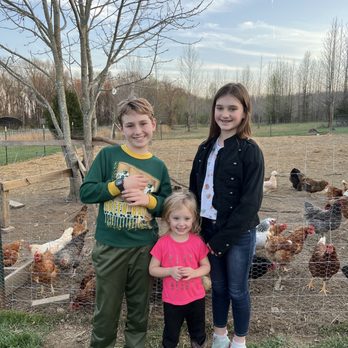Dirty Chicks Farms - Attraction Farms Near Me - Portland, Tennessee Dirty Chicks Farms - Attraction Farms Near Me - Portland, Tennessee