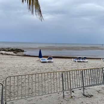 Margaritaville Beach House - Beach across the street. Lots of seaweed. - Hotels Near Me - Key West, Florida