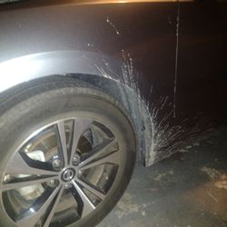 Avis Rent A Car