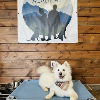 Inclined Canine Academy - Graduation Day (6 Week Day Train Program) - Pet Training Near Me - Morgan Hill, California Inclined Canine Academy - Graduation Day (6 Week Day Train Program) - Pet Training Near Me - Morgan Hill, California