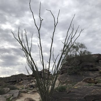 Pima Canyon South Mountain - Hiking Near Me - Phoenix, Arizona