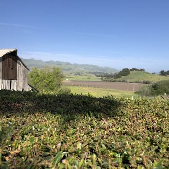 Kynsi Winery - a barn in the background - Wineries Near Me - Arroyo Grande, California