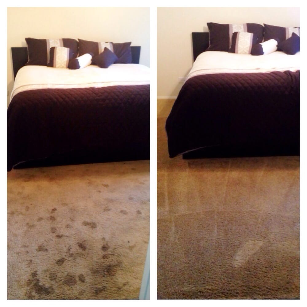 MR CLEAN CARPET CARE 76 Photos & 229 Reviews 2121 S Mill Ave, Tempe