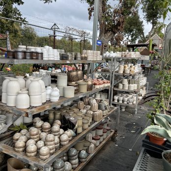East Austin Succulents - So many cute pots - Gardeners Near Me - Austin, Texas East Austin Succulents - So many cute pots - Gardeners Near Me - Austin, Texas