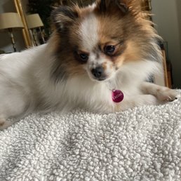 My Lizzie My Lizzie