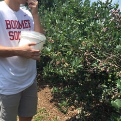 Berry Patch - Shh..we only ate a million.