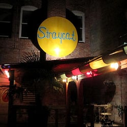 Straycat