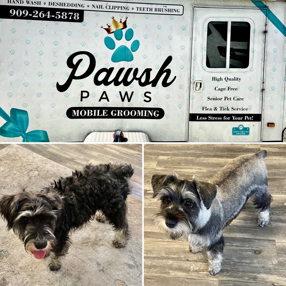 PAWSH PAWS MOBILE GROOMING 36 Photos & 13 Reviews 3117 N I St, San