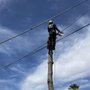 Photo of Westview Tree Experts
