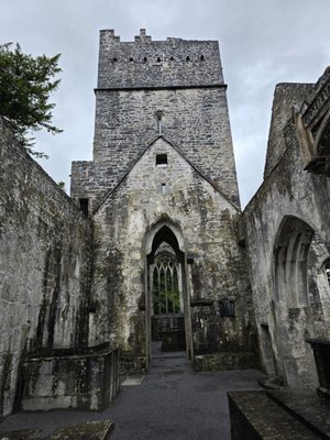 Muckross Abbey by null