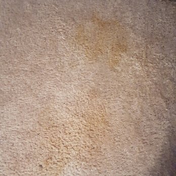 Tanglewood Apartments - Weird stain on bedroom floor that the apt office marked on inspection sheet as "ok" looks like possibly a red body fluid - Apartments Near Me - Hammond, Indiana