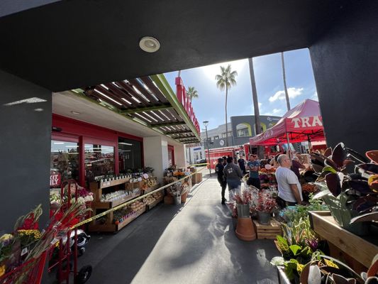Trader Joe's by null
