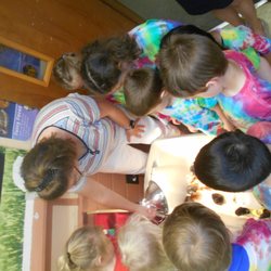 St Paul's Weekday Nursery School - Baby chicks visit!