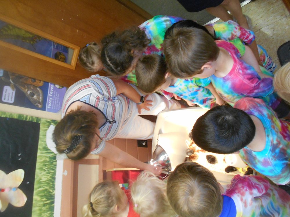 ST PAUL’S WEEKDAY NURSERY SCHOOL Updated July 2024 100 Pine Hill Rd