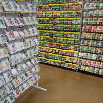 Pasquesi Home & Gardens - Boy do they have seeds here!! - Nurseries & Gardening Near Me - Lake Bluff, Illinois Pasquesi Home & Gardens - Boy do they have seeds here!! - Nurseries & Gardening Near Me - Lake Bluff, Illinois