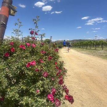 Alcantara Vineyards - Venues & Event Spaces Near Me - Cottonwood, Arizona Alcantara Vineyards - Venues & Event Spaces Near Me - Cottonwood, Arizona