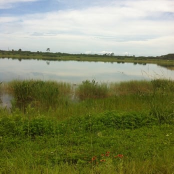 Viera Wetlands - Lakes Near Me - Melbourne, Florida