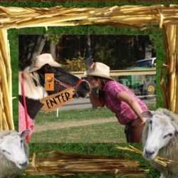 Mary's Go Round Pony Rides and Petting Zoo