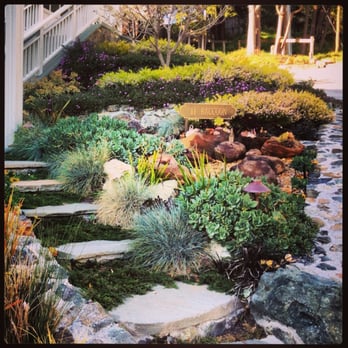 Art Gardens - Entrance in tiburon... Those stones with succulents growing out them are fake to hide a very ugly utility box - Landscaping Near Me - San Anselmo, California Art Gardens - Entrance in tiburon... Those stones with succulents growing out them are fake to hide a very ugly utility box - Landscaping Near Me - San Anselmo, California