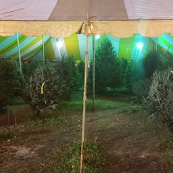 Happy Holiday Christmas Trees - Great selection, great service, very friendly.