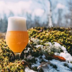Frost Beer Works