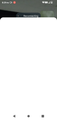 BnS Roofing and Remodeling Logo