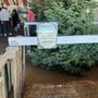 Photo of Big Wave Dave Christmas Trees & Pumpkin Patch