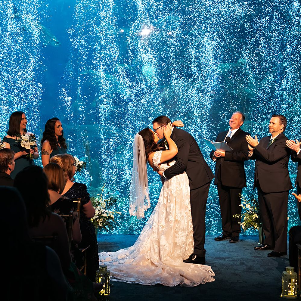 Limelight Photography - Event Photography Near Me Limelight Photography - Event Photography Near Me