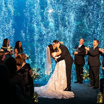 Limelight Photography - Event Photography Near Me Limelight Photography - Event Photography Near Me